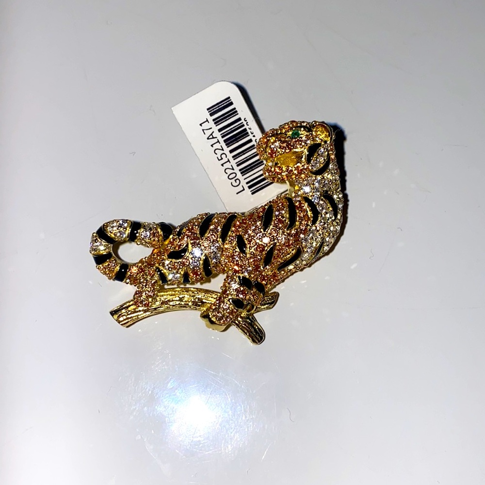 Beautiful Brooch